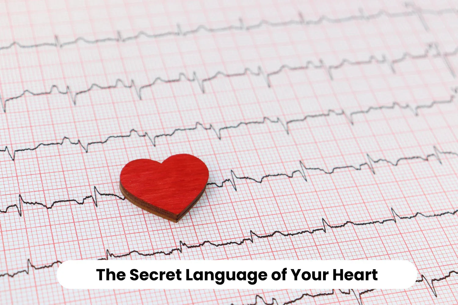The Secret Language of Your Heart: How NUNA Uses HRV to Translate Stress into Strength